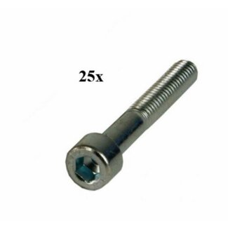 bout inbus m6x25mm 25pcs