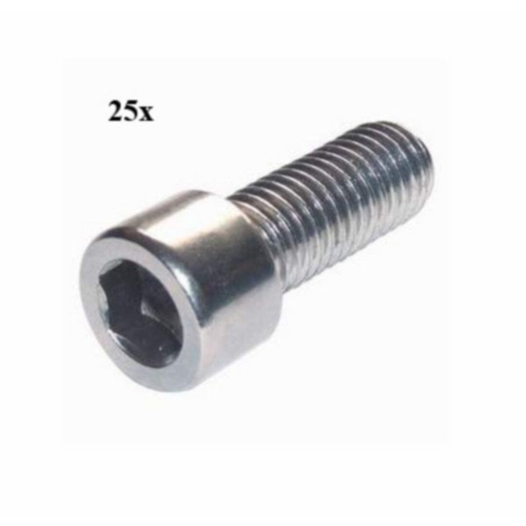 bout inbus m6x10mm 25pcs