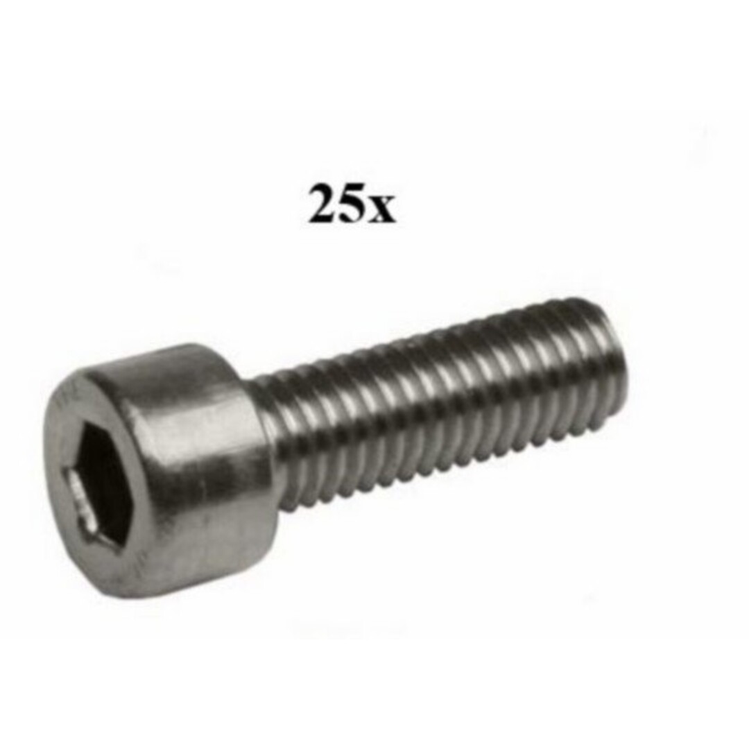 bout inbus m6x30mm rvs 25pcs