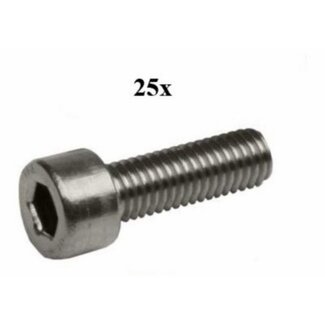 bout inbus m6x30mm rvs 25pcs