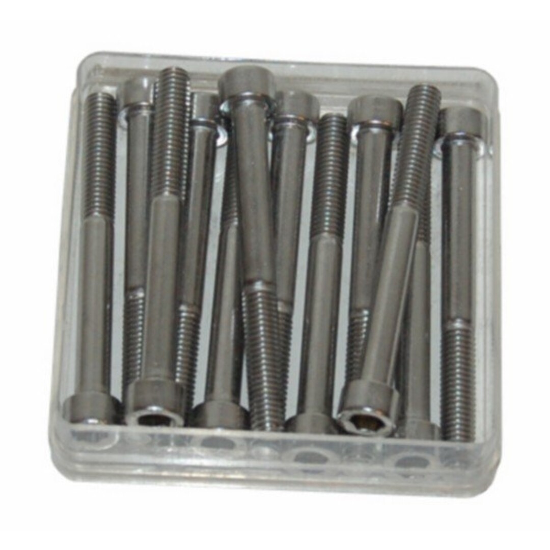 bout inbus m6x55mm 12pcs