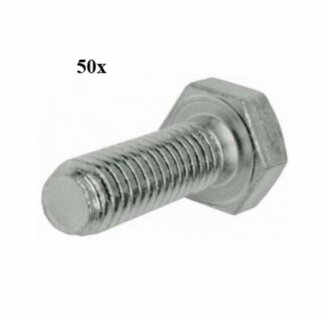 Bout zeskant M6x16 mm 50 stuks