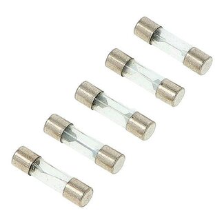 zekering mod. buis agi/peop-s 7a 5 stuks