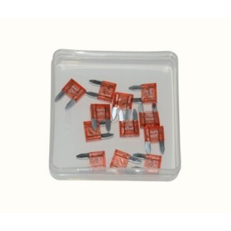 zekering mod. insteek mini 10amp 12pcs