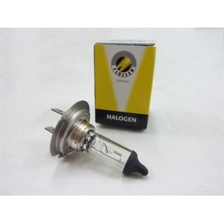 lamp 12V 55W h7 halogeen flosser