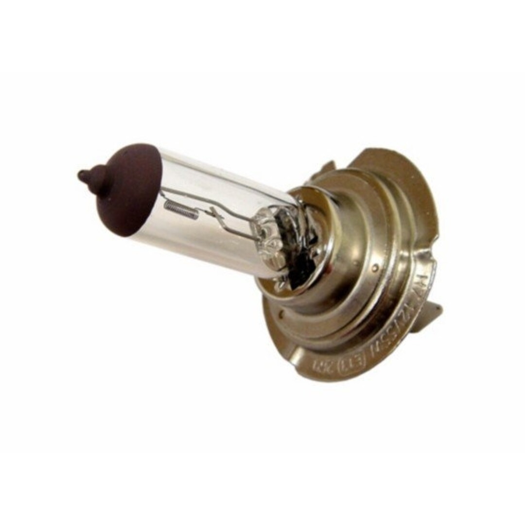 lamp 12V halogeen 55W h7 runner 180cc DMP