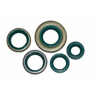 keerringset ks80 lc DMP