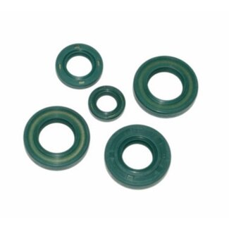 keerringset gpr/sen/zulu DMP