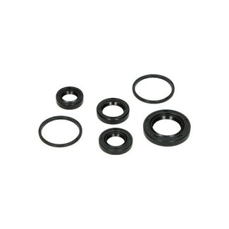 Peugeot keerringset bux/spe/spf/sv/viva/zen DMP