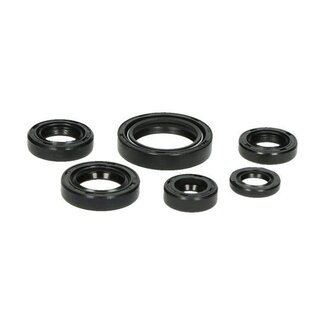 Honda Classic keerringset mbx/mtx80r lc/mtx-sh/nsr 50cc/80cc DMP