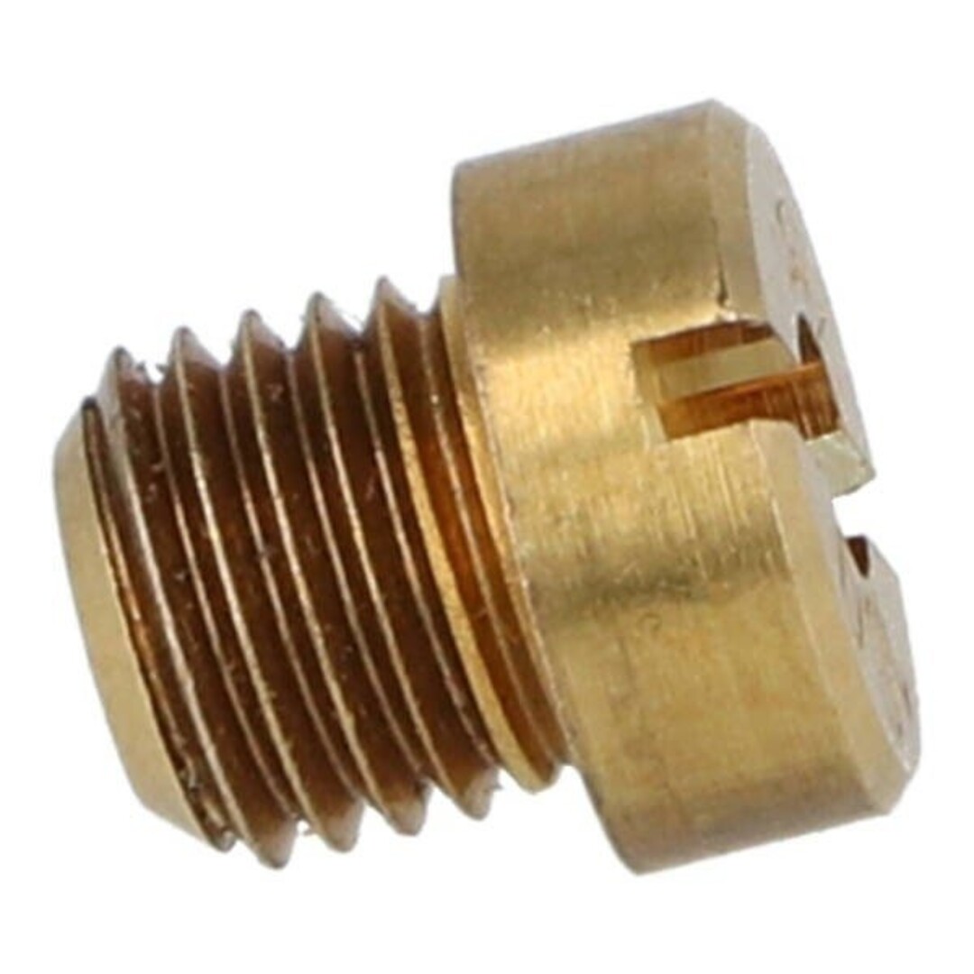 Dellorto sproeier groot 6mm 195 dellorto origineel