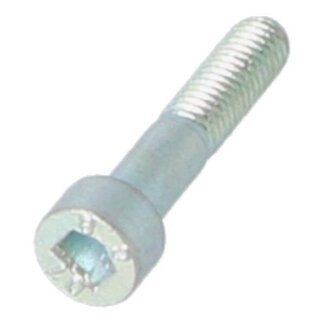 Piaggio kickstartdeksel borgbout/Veiligheidsbout primav/sprin/zip m6x30mm piag orig 1a011419