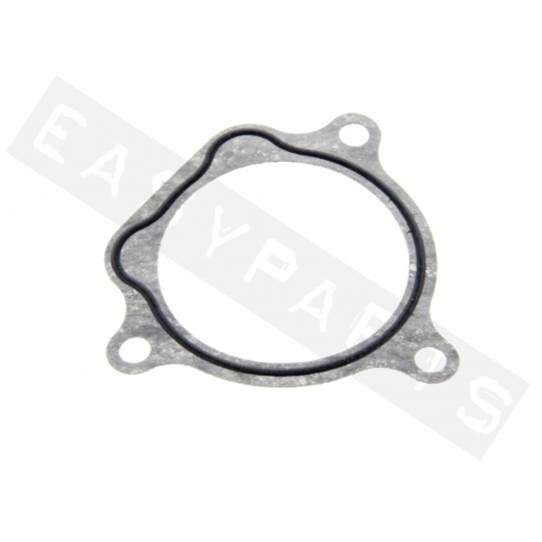 Pakking waterpomp Neo's 25km/h 4T (BNL) 2013