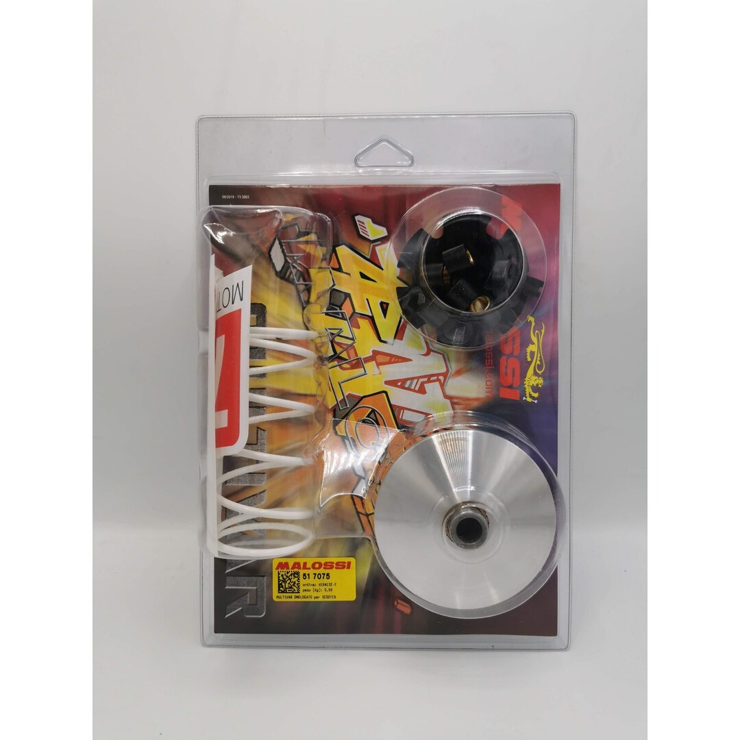 Malossi variokit minarelli hor+vert malossi 517075