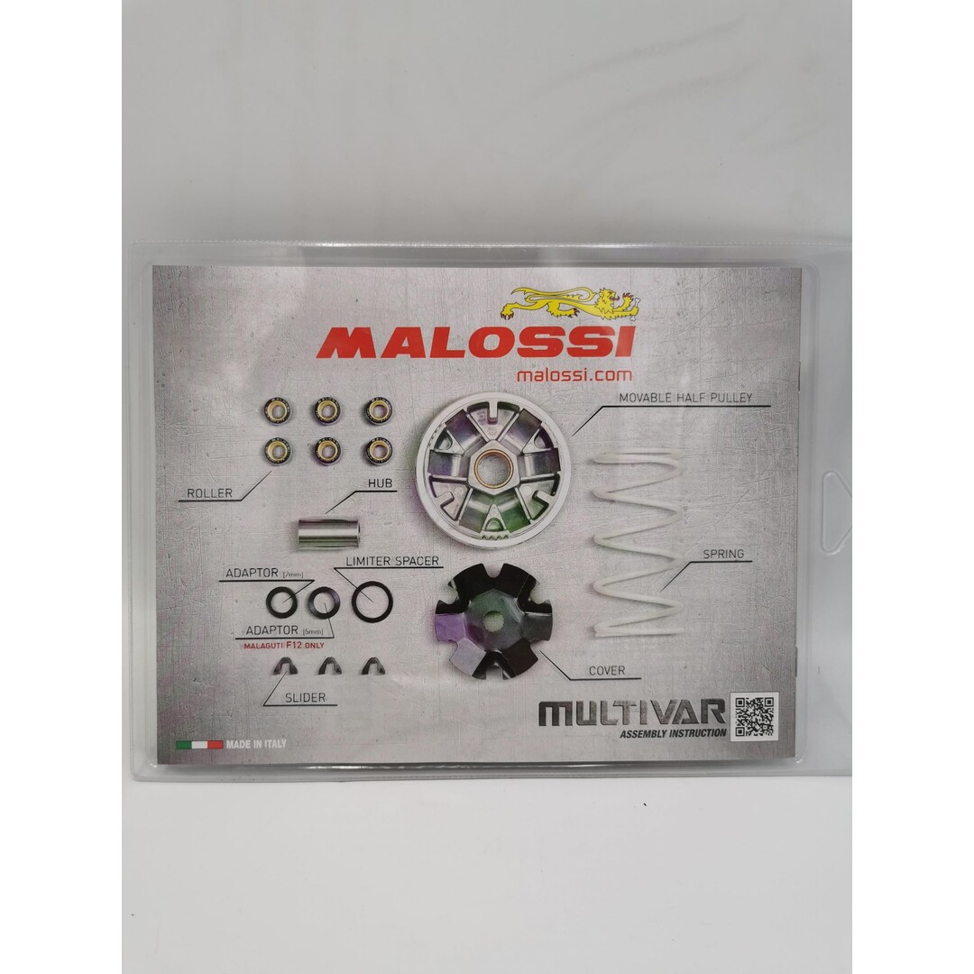 Malossi variokit minarelli hor+vert malossi 517075