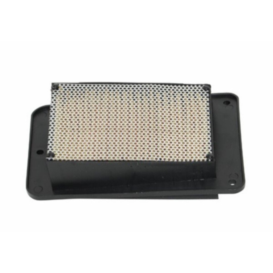 DMP Luchtfilterelement symph/ tonik/ tweet/ Sym DMP