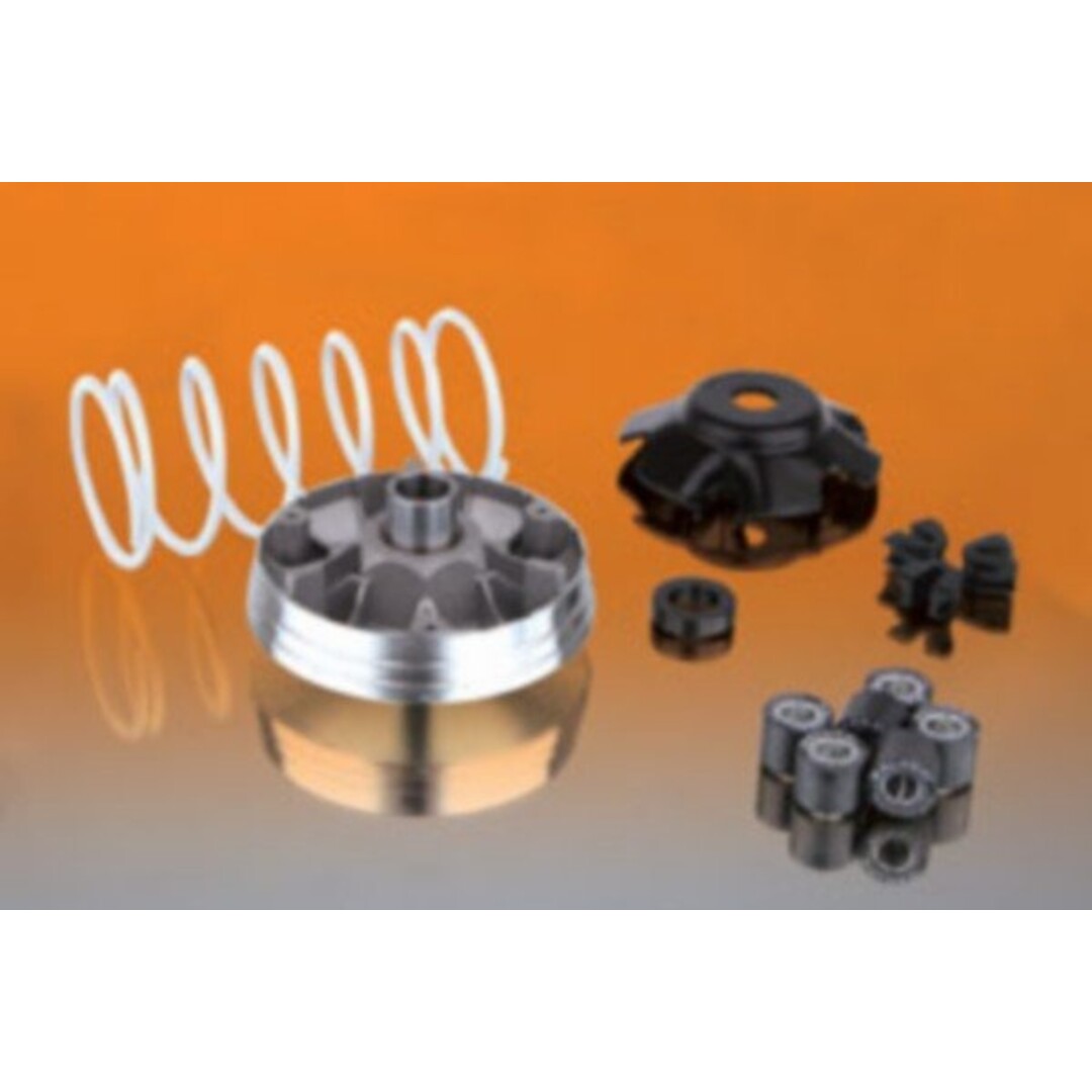 Malossi variokit E2/E4/ E5 snel 4t3v i-get/ cen/ primav/ scopia4t2v/ sprint / zip malossi 5111597