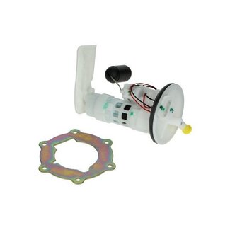 Turbho Benzinepomp EFI/Delphi Euro 4 4-takt