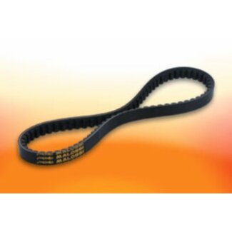 Malossi V-snaar bao10i/ sco gy6/ v-clic malossi 6113397