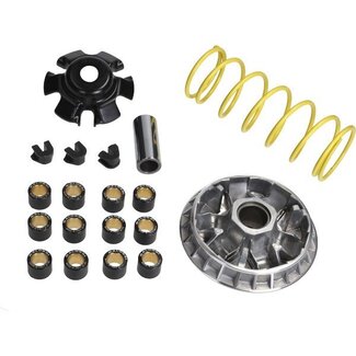 Malossi variokit agilcit300/grand dink/people300 malossi 5113892