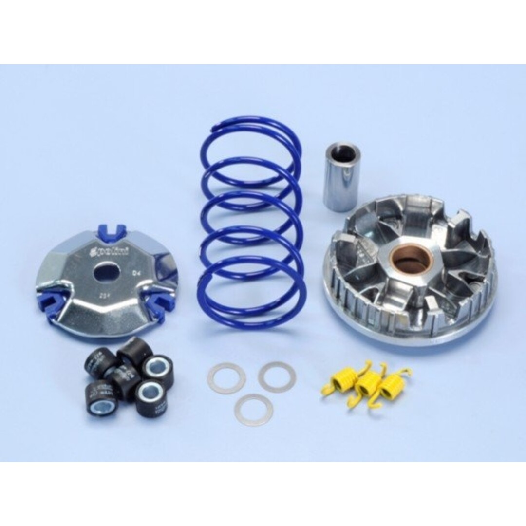 variokit + veer vision 4t 2012 polini 241.698