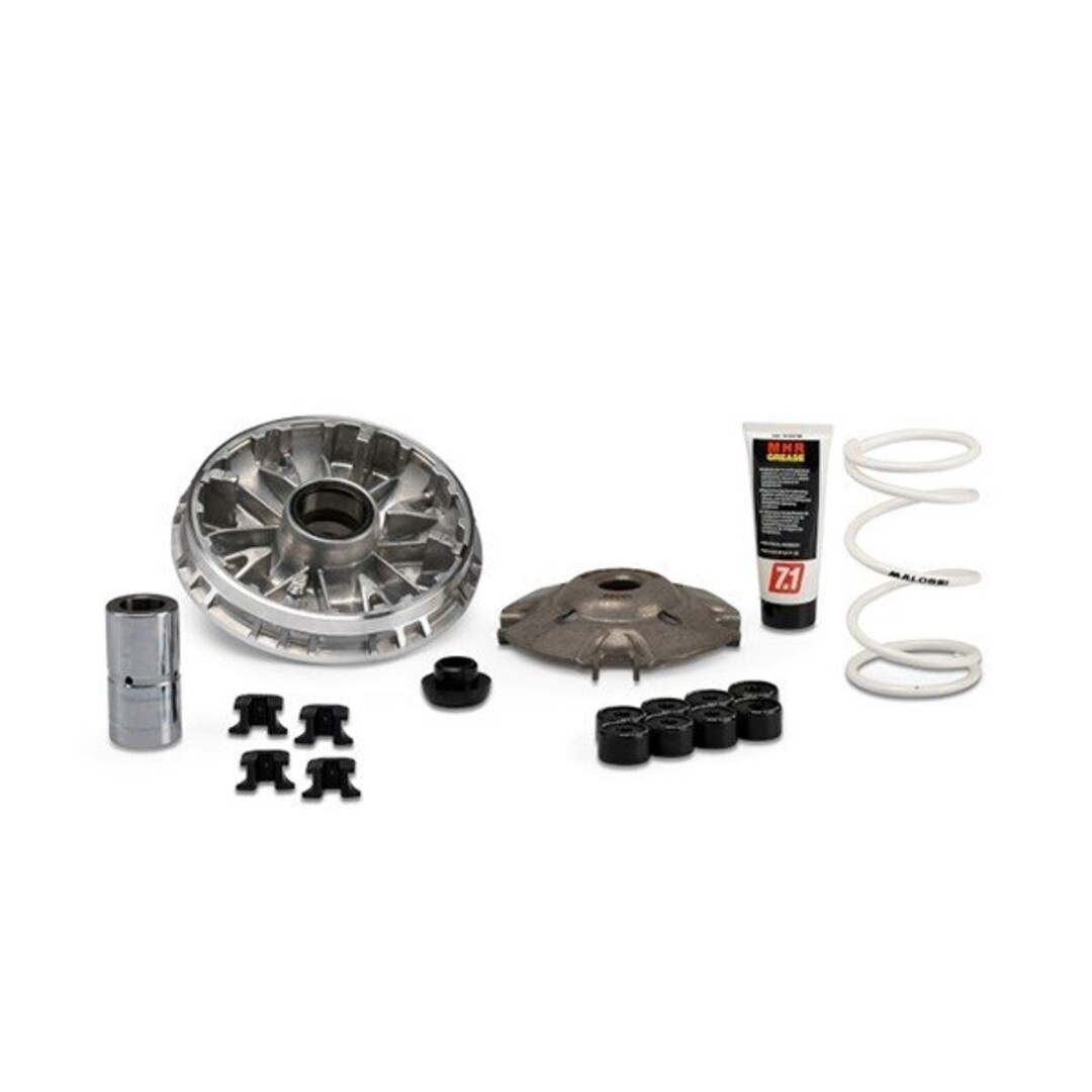 variokit euro-5 adv350/forza350/sco hon/sh350 malossi 5118980