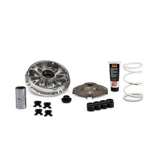 variokit euro-5 adv350/forza350/sco hon/sh350 malossi 5118980