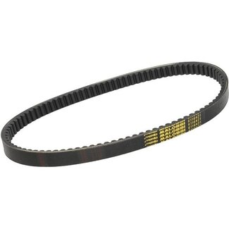 Malossi v-snaar forza250/hon/jazz/hon/reflex/peug/sv/x9 malossi 6116421