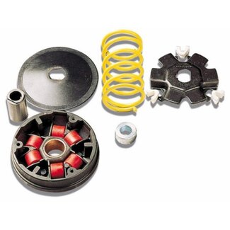 variokit fox/rap/vis mi/wal malossi 517073