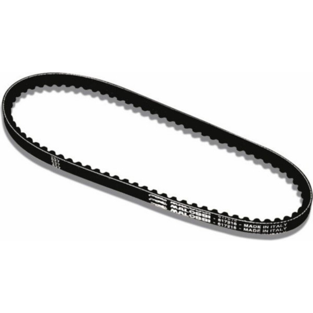 Malossi v-snaar rap/vis mi malossi 617213