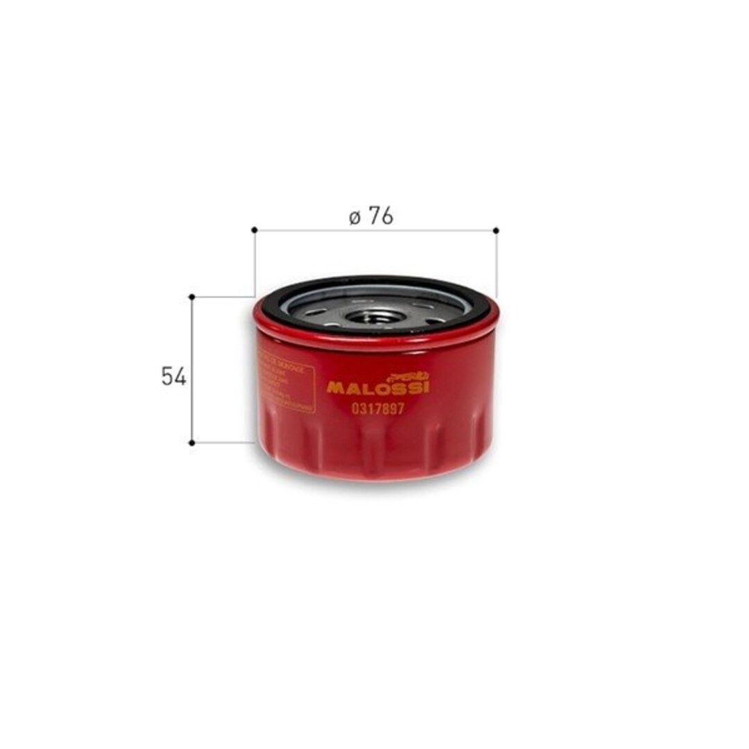 oliefilter ak550i/bmw/c400gt/c650gt/kymco/r1200 malossi 0317897
