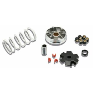 variokit aerox/ gig/neo4t malossi 5113603