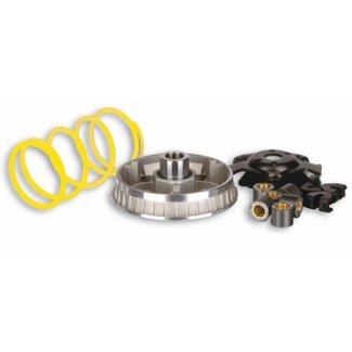 variokit majesty 125/150/180 malossi 5113134