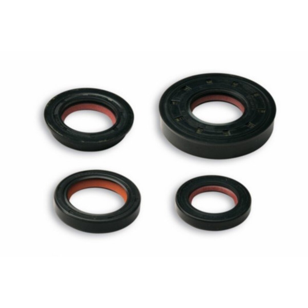 Malossi keerringset minarelli hor+vert malossi 6619160