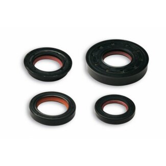 Malossi keerringset minarelli hor+vert malossi 6619160