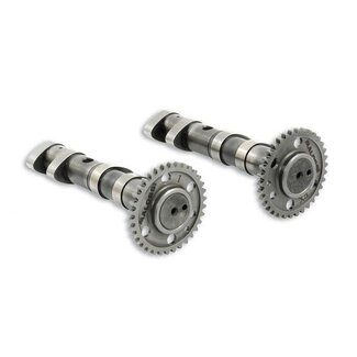 Yamaha nokkenasset t-max530 malossi 5915981
