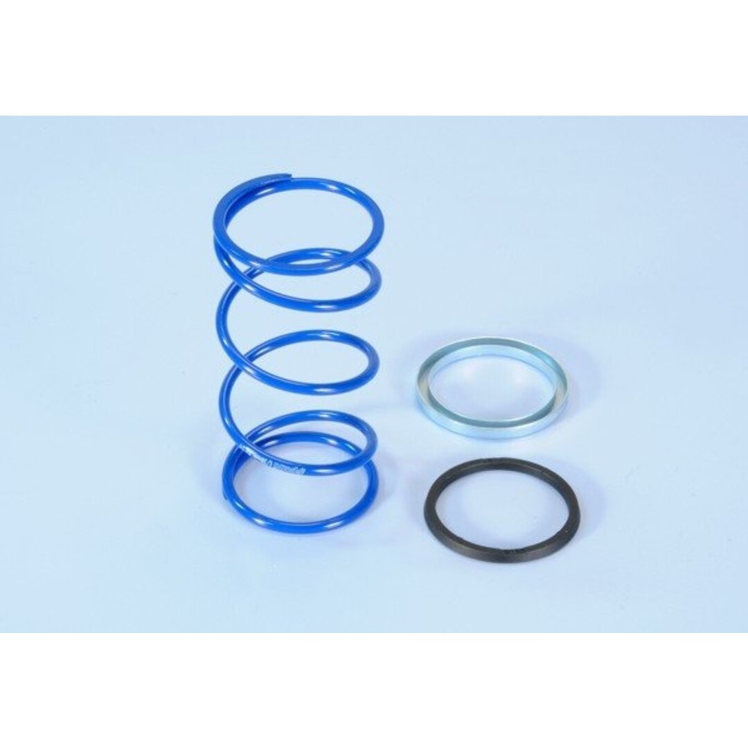 kopp.drukveerset + 87% minarelli 3.8 polini evo slider 243.104