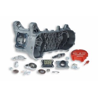 Malossi carterset midden rc-one minarelli hor lc 52mm malossi mhr 5716668