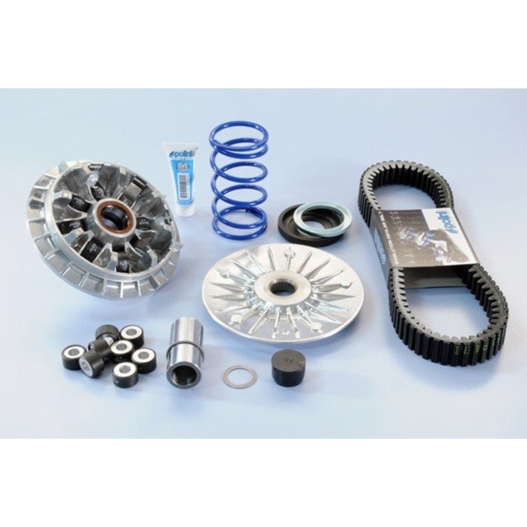 variokit euro-4/5 compleet veer/snaar t-max530/tmax560 polini 241.701.1 hi speed evolution