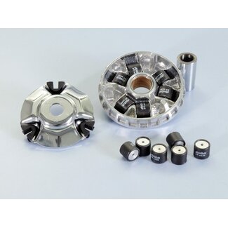 variokit s-max 125/160 maj125/150/xenter polini 241.724