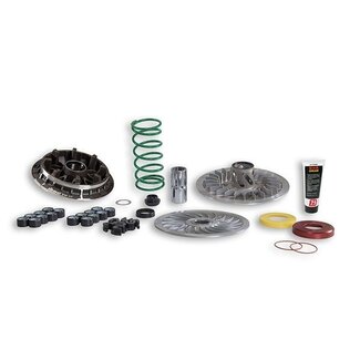 overrange systeem euro-4 t-max530/tmax560 malossi 6118154