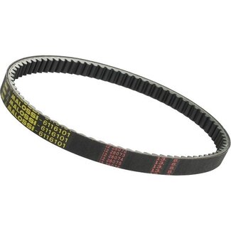 v-snaar bw/min vert malossi 6116101