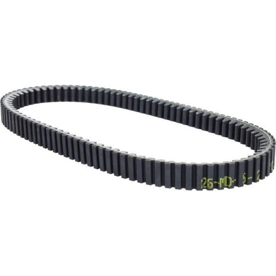 v-snaar tric300/xmax 300 polini 248.128