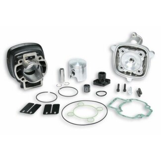 Malossi cil+kop sco piaggio lc 47mm malossi 317353