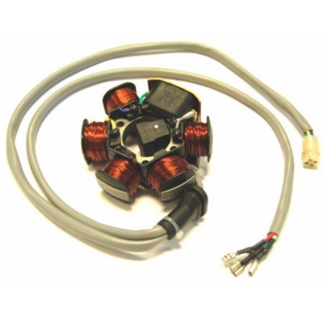 ontsteking mc2/mc3/run/stal/typ/zip piag orig 830294