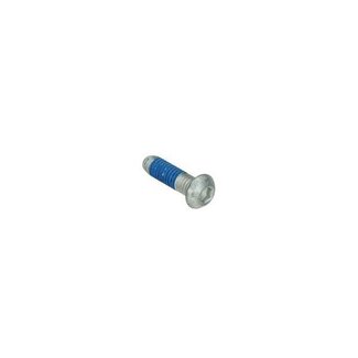 bout remschijf bev/fly/gts all/mp3/zip2000/zip4t m6x20mm piag orig 667152