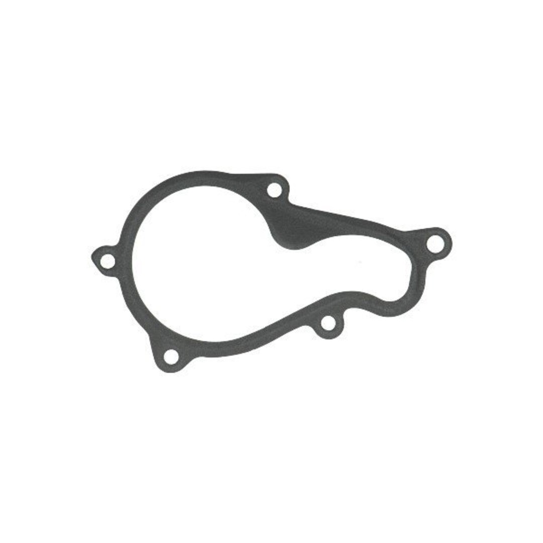 pakking waterpomphuis bev350/mp3 piag orig 880727