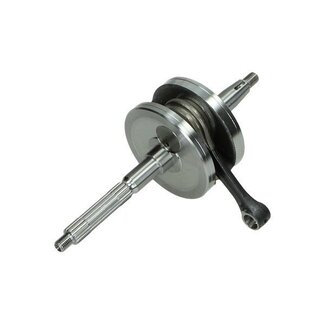 Piaggio krukas euro-5 primav/sprin/zip4t piag orig 1a017275