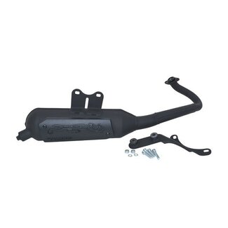 Malossi uitlaat cpl mod. std wild lion lx2t/primav/S-2t/sprin malossi 3216579