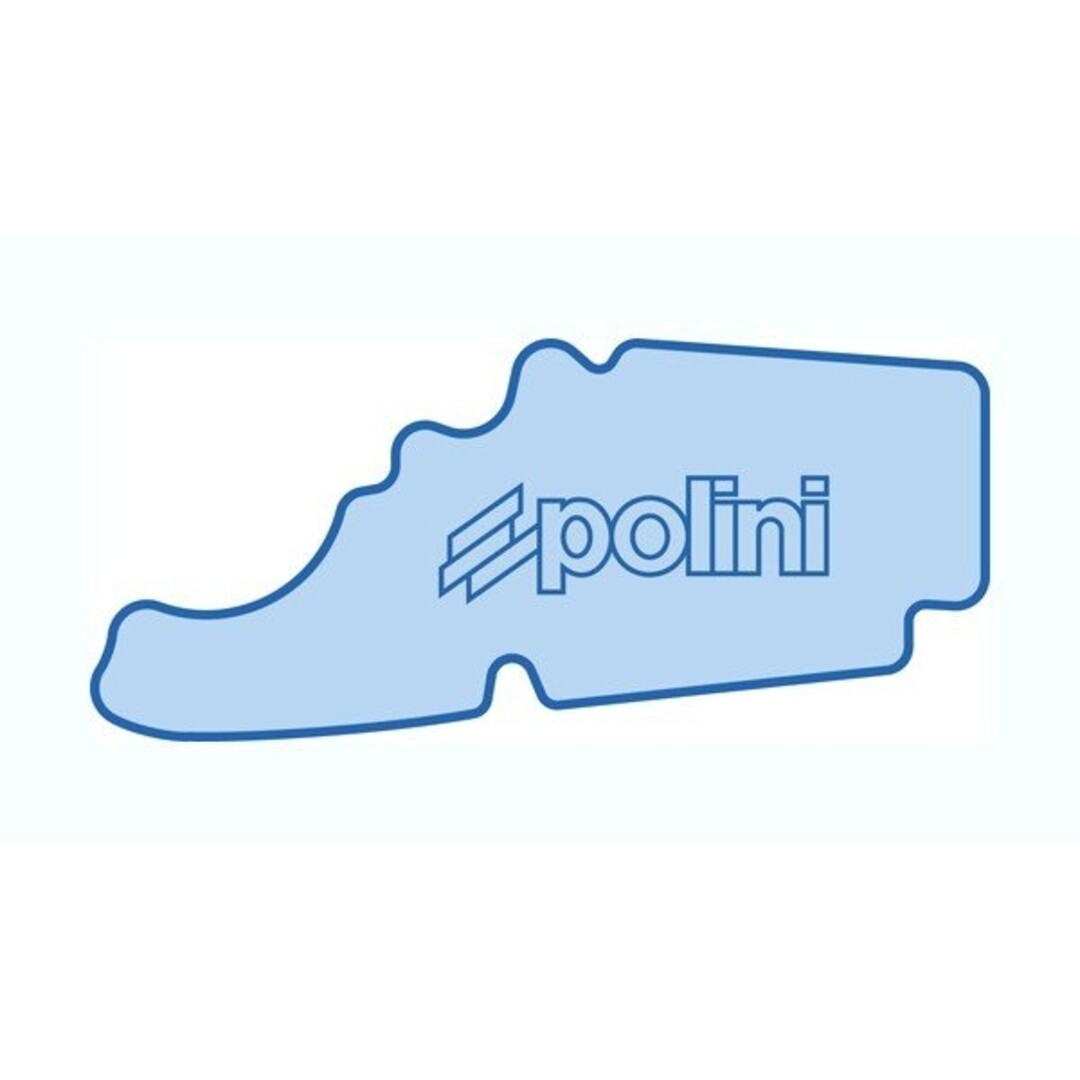 Polini luchtfilterelement euro-2/4/5 fly4t/lx4t/primav/S-4t/scopia4t4v/sprin polini 203.0151